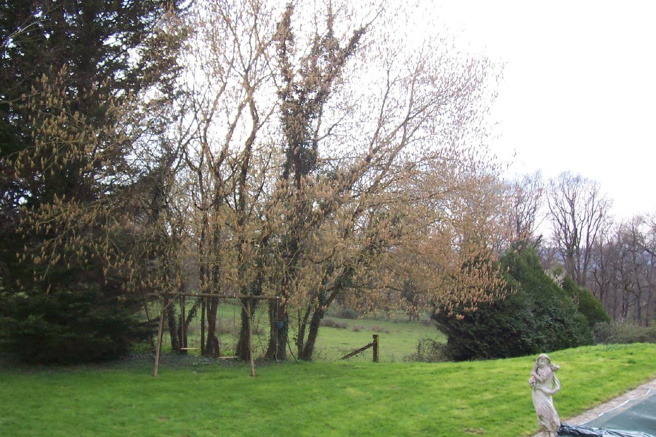 Chateau Champigny Bed & Breakfast Maillet  Exterior photo